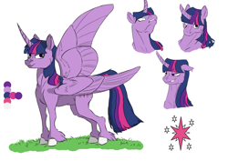 Size: 1754x1240 | Tagged: safe, artist:valo-son, twilight sparkle, twilight sparkle (alicorn), alicorn, pony, curved horn, cutie mark, female, floppy ears, looking at you, mare, one wing out, reference sheet, simple background, smiling, solo, unshorn fetlocks, white background