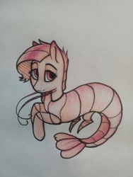 Size: 540x720 | Tagged: safe, artist:ognifireheart, oc, oc only, hybrid, shrimp, shrimp pony, simple background, solo, traditional art, white background