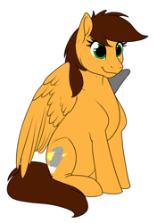 Size: 462x656 | Tagged: safe, artist:mythpony, oc, oc:arrow storm, pegasus, pony, female, mare, simple background, sitting, solo, white background