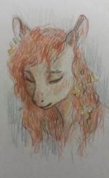 Size: 449x728 | Tagged: safe, artist:exclusionzone, pear butter, earth pony, pony, bust, colored pencil drawing, eyes closed, female, flower, flower in hair, freckles, mare, pencil drawing, portrait, simple background, solo, traditional art, white background