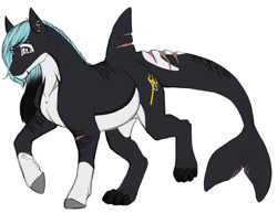 Size: 3300x2550 | Tagged: safe, artist:theecchiqueen, oc, oc only, oc:mako, earth pony, hybrid, orca pony, original species, ear piercing, gift art, male, piercing, raised hoof, scar, simple background, solo, stallion, white background