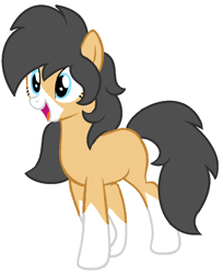 Size: 836x1027 | Tagged: safe, artist:piñita, oc, oc only, oc:zarza zarevna, earth pony, pony, bald face, body markings, simple background, socks (coat marking), two-tone coat, vector, white background