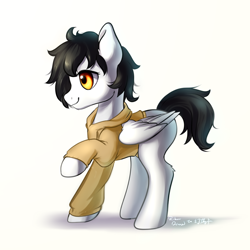 Size: 1024x1024 | Tagged: safe, artist:rikadiane, oc, pegasus, pony, clothes, female, hoodie, mare, simple background, solo, white background