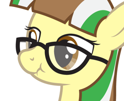 Size: 490x397 | Tagged: safe, artist:lightning stripe, oc, oc only, oc:beetle beat, earth pony, pony, brown eyes, female, glasses, mare, scrunchy face, show accurate, simple background, solo, white background