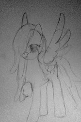 Size: 683x1024 | Tagged: safe, oc, oc only, oc:raincloud drops, pegasus, pony, pencil drawing, simple background, sketch, solo, traditional art, white background