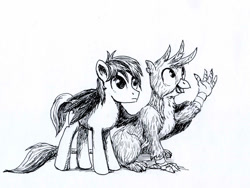 Size: 981x736 | Tagged: safe, artist:el-yeguero, gallus, sandbar, earth pony, griffon, pony, claws, inktober, inktober 2018, male, monochrome, paws, simple background, tail, traditional art, white background