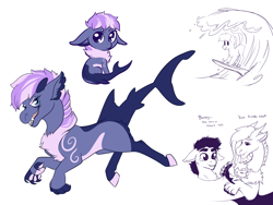 Size: 1024x768 | Tagged: safe, artist:loryska, oc, oc only, oc:bruce, oc:pandora, oc:wave rider, draconequus, hybrid, original species, pony, shark pony, baby, draconequus hybrid, draconequus oc, female, interspecies offspring, male, newborn, next generation, offspring, offspring's offspring, pandoraverse, parent:discord, parent:oc:bruce, parent:oc:pandora, parent:twilight sparkle, parents:discolight, parents:oc x oc, realistic horse legs, simple background, species swap, stallion, surfboard, surfing, white background