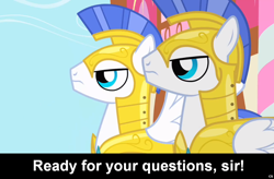 Size: 1024x672 | Tagged: safe, pegasus, pony, comic:celestia's servant interview, armor, caption, interview, royal guard