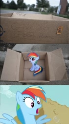 Size: 832x1470 | Tagged: safe, fanfic:my little dashie, crossing the memes, dashie meme, exploitable meme, good people finding dash meme, meme, memeception, self adoption, self ponidox, shocked, what a twist