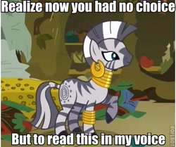 Size: 423x353 | Tagged: safe, screencap, zecora, zebra, bridle gossip, caption, image macro, read this in x's voice, roflbot