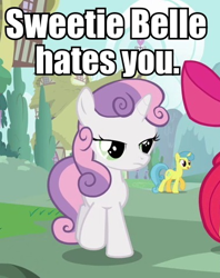 Size: 379x478 | Tagged: safe, derpibooru import, sweetie belle, pony, unicorn, female, filly, hate, image macro, solo