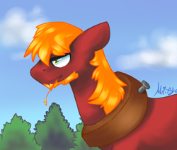 Size: 387x328 | Tagged: safe, artist:atrixy, big macintosh, earth pony, pony, beard, male, stallion