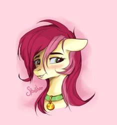 Size: 1500x1600 | Tagged: safe, roseluck, earth pony, pony, blushing, bust, collar, commission, cute, female, floppy ears, pet collar, pet tag, pony pet, portrait, rosepet, solo