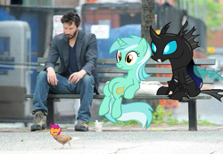 Size: 629x435 | Tagged: safe, lyra heartstrings, scootaloo, changeling, human, pony, unicorn, keanu reaves, kevin, real life, sitting lyra, vector