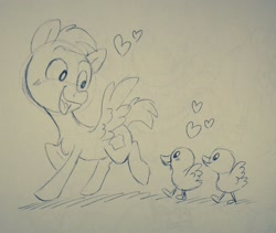 Size: 1440x1213 | Tagged: safe, artist:stepandy, oc, oc:duk, duck, duck pony, pegasus, pony, blushing, cute, heart, lineart, love, quack, quak, traditional art