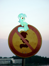 Size: 768x1024 | Tagged: safe, lyra heartstrings, human, pony, unicorn, fuck the police, meme, real life, sign, sitting, sitting lyra, vector