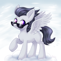 Size: 2000x2000 | Tagged: safe, rumble, pegasus, pony, chest fluff, colt, foal, high res, looking at you, male, solo, spread wings, sunglasses, wings
