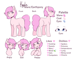 Size: 5000x4000 | Tagged: safe, artist:poofindi, oc, oc only, oc:kayla, earth pony, pony, angry, crying, female, happy, mare, reference sheet, sad, solo