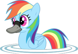 Size: 994x700 | Tagged: safe, artist:twitchy-tremor, rainbow dash, bird, duck, duck pony, goose, pegasus, pony, swan, animal, duck bill, female, literal duck face, mare, pegaduck, rainbow duck, simple background, solo, swimming, transparent background