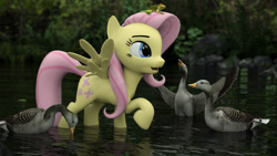 Size: 1920x1080 | Tagged: safe, artist:littlefisky, fluttershy, goose, pegasus, pony, 3d, animal, lake, solo, water