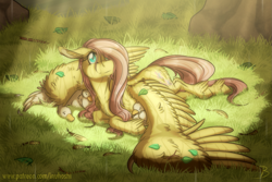 Size: 1647x1101 | Tagged: safe, artist:inuhoshi-to-darkpen, fluttershy, bird, goose, pegasus, pony, animal, crepuscular rays, cute, female, floppy ears, fluffy, grass, hair over one eye, head turn, kindness, looking up, mare, outdoors, prone, rain, shyabetes, spread wings, stray strand, unshorn fetlocks, wet mane, wing umbrella, wings