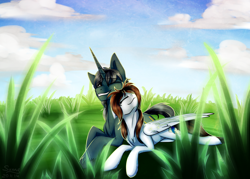 Size: 1600x1143 | Tagged: safe, artist:sunny way, oc, oc only, oc:saitudon, oc:sunny way, pegasus, pony, unicorn, brother and sister, cloud, duo, female, field, grass, male, prone, rcf community, straight, sunny