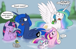 Size: 1275x825 | Tagged: safe, artist:silfoe, princess cadance, princess celestia, princess flurry heart, princess luna, twilight sparkle, twilight sparkle (alicorn), alicorn, bird pone, duck, duck pony, fly, frog, mallard, pony, :i, alicorn pentarchy, aliduck, ask, behaving like a bird, behaving like a duck, behaving like a goose, buoyant, cute, cutedance, cutelestia, ducklestia, eyes closed, female, floating, floppy ears, flurrybetes, frown, glare, gooselestia, honk, laughing, licking, lunabetes, majestic as fuck, male, mare, missing accessory, mother and child, mother and daughter, offended, open mouth, parent and child, quack, royal sisters, royal sketchbook, smiling, spread wings, swandance, swanlestia, swanlight sparkle, swanluna, sweet dreams fuel, swimming, tongue out, tumblr, twiabetes, twilight duckle, unamused, wall of tags, water, wide eyes