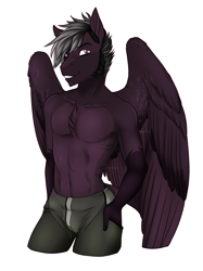 Size: 1200x1601 | Tagged: safe, artist:blackblood-queen, oc, oc:stygian crosswind, anthro, pegasus, unguligrade anthro, anthro oc, chest fluff, clothes, commission, male, partial nudity, pegasus oc, signature, simple background, solo, topless, transparent background, two toned wings, wings