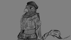 Size: 5760x3300 | Tagged: safe, artist:xeirla, oc, oc only, oc:warren immelmann, anthro, original species, balaclava, beak, beret, camouflage, clothes, hat, jacket, military uniform, sketch, solo, zebragriff, zerb