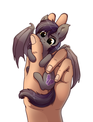 Size: 900x1170 | Tagged: safe, artist:28gooddays, oc, oc only, oc:umbra tempestas, bat pony, human, pony, :3, bat pony oc, behaving like a bat, biting, cute, cute little fangs, cutie mark, daaaaaaaaaaaw, ear fluff, fangs, female, hand, hnnng, holding a pony, hug, in goliath's palm, mare, micro, nom, ocbetes, simple background, smiling, smol, solo focus, spread wings, tiny, tiny ponies, underhoof, weapons-grade cute, white background, wings, ych result