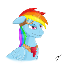 Size: 1200x1200 | Tagged: safe, artist:gammahoof, rainbow dash, pegasus, pony, fanfic:austraeoh, element of loyalty, fanfic, fanfic art, goggles, solo