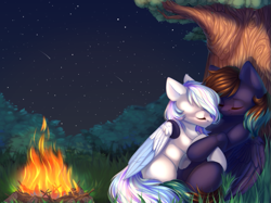 Size: 733x549 | Tagged: safe, artist:alphadesu, oc, oc only, oc:contrail skies, oc:slumber, pegasus, campfire, night, outdoors, shipping