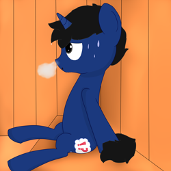 Size: 3000x3000 | Tagged: safe, artist:triplesevens, oc, oc only, oc:lucid dream, pony, unicorn, male, sauna, sitting, solo, stallion, steam, sweat, unicorn oc