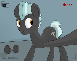 Size: 2500x2000 | Tagged: safe, artist:triplesevens, thunderlane, pegasus, pony, camera, camera shot, male, recording, selfie, solo, stallion, weights