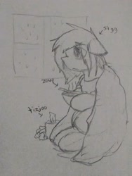 Size: 2432x3234 | Tagged: safe, artist:candel, oc, oc only, oc:candlelight, pony, blanket, clothes, food, monochrome, rain, runny nose, scarf, sick, sketch, solo, soup, tissue, tissue box, traditional art, window