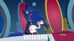 Size: 806x451 | Tagged: safe, edit, edited screencap, screencap, princess luna, alicorn, bird, goose, pony, sparkle's seven, animal, animated, caption, discovery family logo, duo, ethereal mane, female, image macro, loop, luna petting goose, mare, petting, solo, starry mane, text, throne, welcome