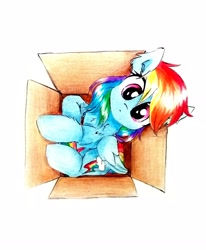 Size: 2322x2824 | Tagged: safe, artist:liaaqila, rainbow dash, pegasus, pony, behaving like a cat, box, cardboard box, cute, dashabetes, if i fits i sits, lightly watermarked, looking at you, looking up, looking up at you, overhead view, pony in a box, simple background, solo, traditional art, watermark, white background