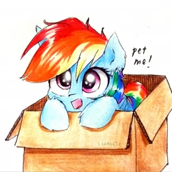 Size: 2231x2231 | Tagged: safe, artist:liaaqila, rainbow dash, pegasus, pony, box, bronybait, cardboard box, cute, dashabetes, ear fluff, leg fluff, pet request, pony in a box, simple background, solo, traditional art, white background