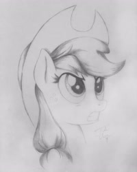 Size: 3024x3779 | Tagged: safe, artist:theasce, applejack, earth pony, pony, monochrome, solo, traditional art