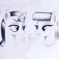 Size: 1024x1024 | Tagged: safe, artist:theasce, maud pie, moonlight raven, pony, unicorn, canterlot boutique, eye contact, female, mare, monochrome, traditional art