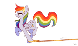 Size: 1024x608 | Tagged: safe, artist:littmosa, rainbow dash, pegasus, pony, implied appledash, lasso, rope, simple background, solo, sweat, sweatdrop