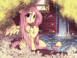 Size: 1024x768 | Tagged: dead source, safe, artist:umeguru, fluttershy, anthro, pegasus, unguligrade anthro, cute, female, floppy ears, flower, fluffy, frown, leaves, looking at you, looking back, looking back at you, looking over shoulder, mare, shoulder fluff, shyabetes, solo, spread wings, tree, water, waterfall, wet, wet mane, window, wings