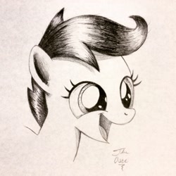 Size: 2448x2448 | Tagged: safe, artist:theasce, scootaloo, monochrome, solo, traditional art