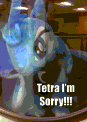 Size: 360x500 | Tagged: safe, artist:tetrapony, princess luna, alicorn, pony, abuse, animated, begging, caption, death threat, desperation, dialogue, dryer, english, female, funny, funny as hell, humor, injured, insult, irl, lunabuse, mare, misspelling, offscreen character, photo, plushie, punishment, solo, solo focus, swearing, threat, threatening, toy abuse, vulgar, washing machine, yelling