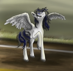 Size: 1000x980 | Tagged: artist needed, source needed, safe, oc, pegasus, floor, spread wings