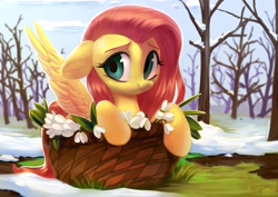 Size: 3508x2480 | Tagged: safe, artist:vensual99, fluttershy, pegasus, pony, basket, cute, female, floppy ears, flower, looking at you, mare, outdoors, pony in a basket, scenery, shyabetes, smiling, snow, snowdrop (flower), solo, spread wings, spring, three quarter view, wings