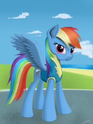 Size: 2400x3200 | Tagged: safe, artist:avastin4, rainbow dash, pegasus, pony, clothes, solo, uniform, wonderbolt trainee uniform