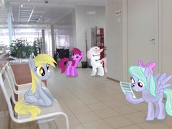 Size: 2560x1920 | Tagged: safe, artist:atlas-66, berry punch, berryshine, derpy hooves, flitter, nurse redheart, pegasus, pony, clinic, female, hospital, irl, mare, photo, ponies in real life, vector, vending machine, wheelchair
