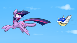 Size: 1920x1080 | Tagged: safe, artist:underpable, twilight sparkle, twilight sparkle (alicorn), alicorn, pony, blue shell, crossover, derpin daily, female, mare, mario kart, super mario bros., this will end in pain, wallpaper