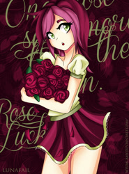 Size: 1034x1400 | Tagged: safe, artist:myumlamy, roseluck, human, clothes, frilly skirt, humanized, skirt, solo